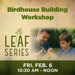 Birdhouse-Building-Workshop