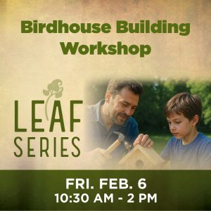 Birdhouse Building Workshop hosted by Sholom Park