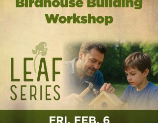 Birdhouse Building Workshop hosted by Sholom Park