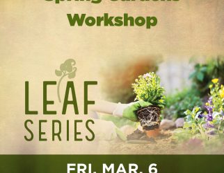 L.E.A.F.-Series-Spring-Gardens-Workshop