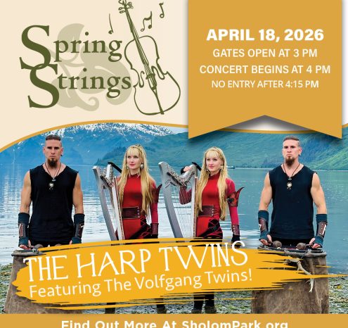 Spring-Strings-Concert-
