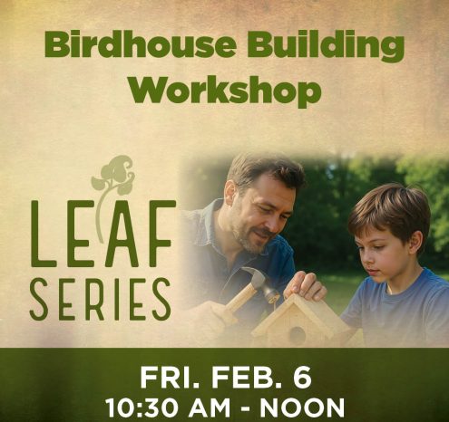Birdhouse-Building-Workshop