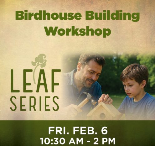 Birdhouse Building Workshop hosted by Sholom Park