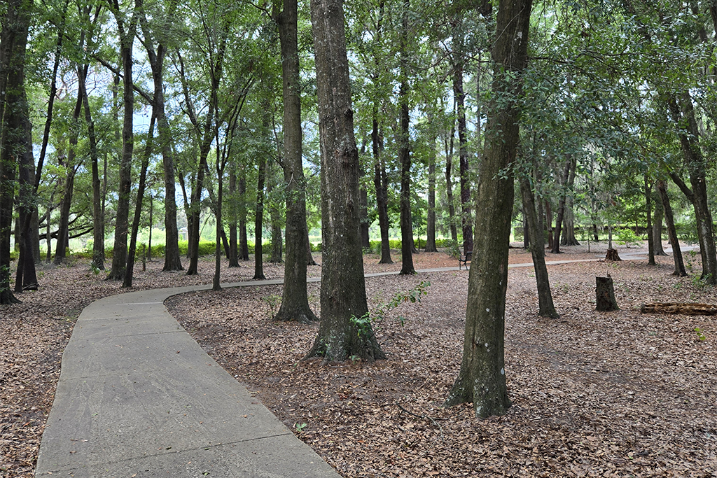 Enchanted Forest 3