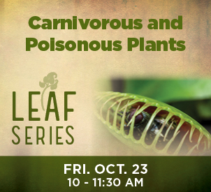 Carnivorous and Poisonous Plants