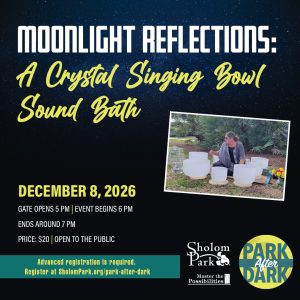 Park-After-Dark-Moonlight-Reflections