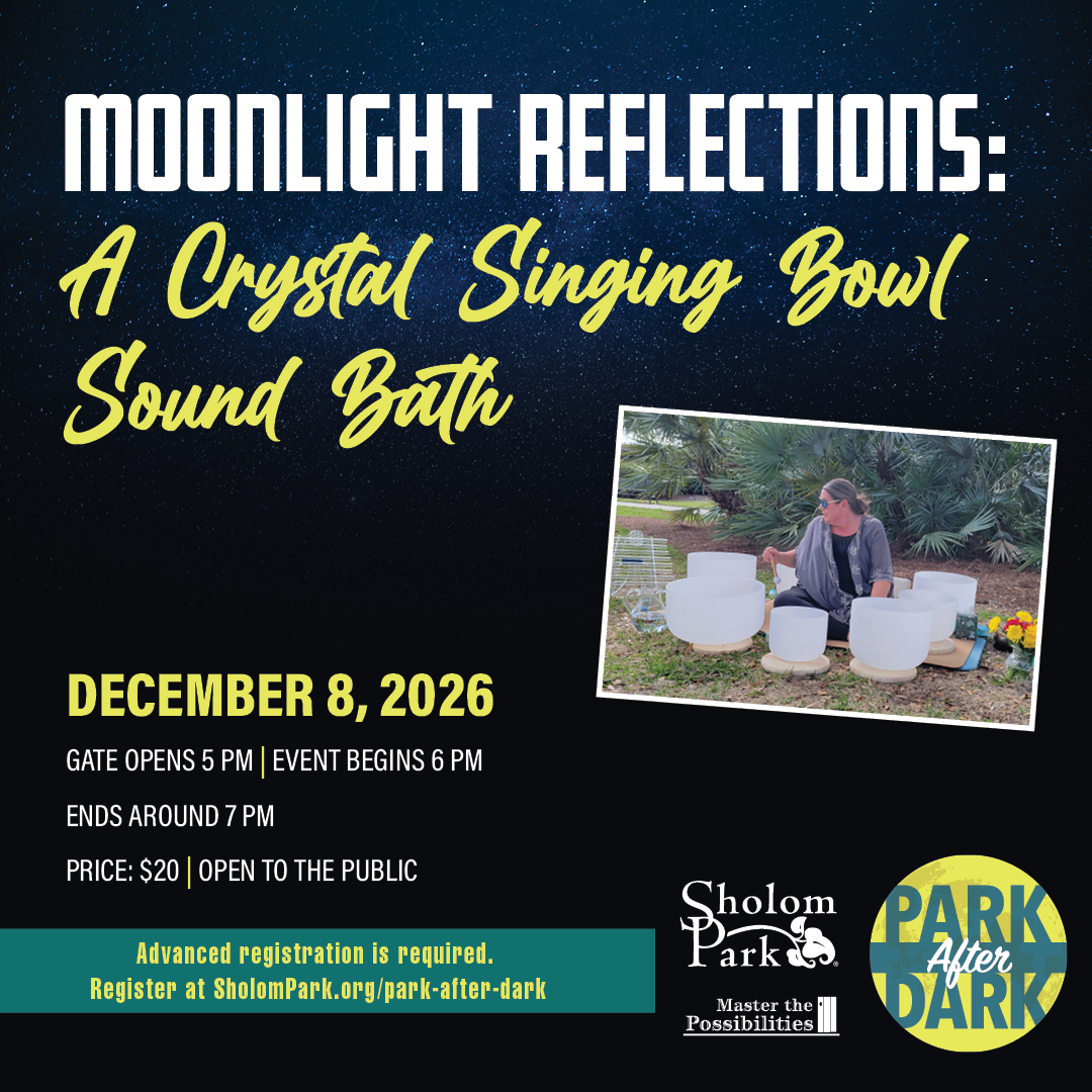 Park-After-Dark-Moonlight-Reflections