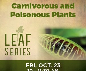 Carnivorous and Poisonous Plants